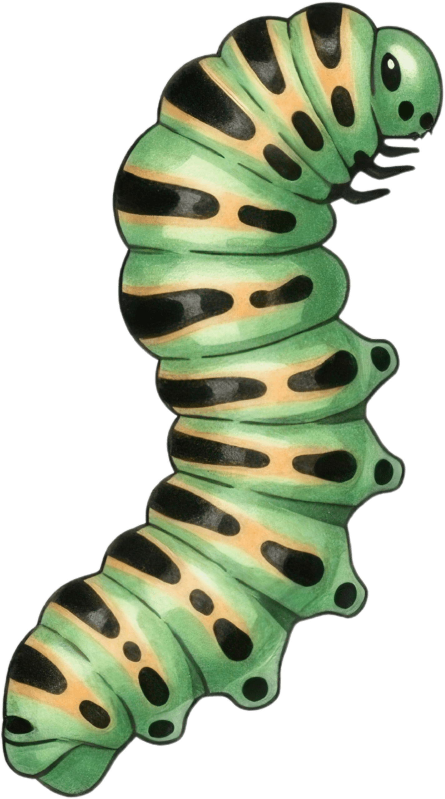 Green Caterpillar Icon