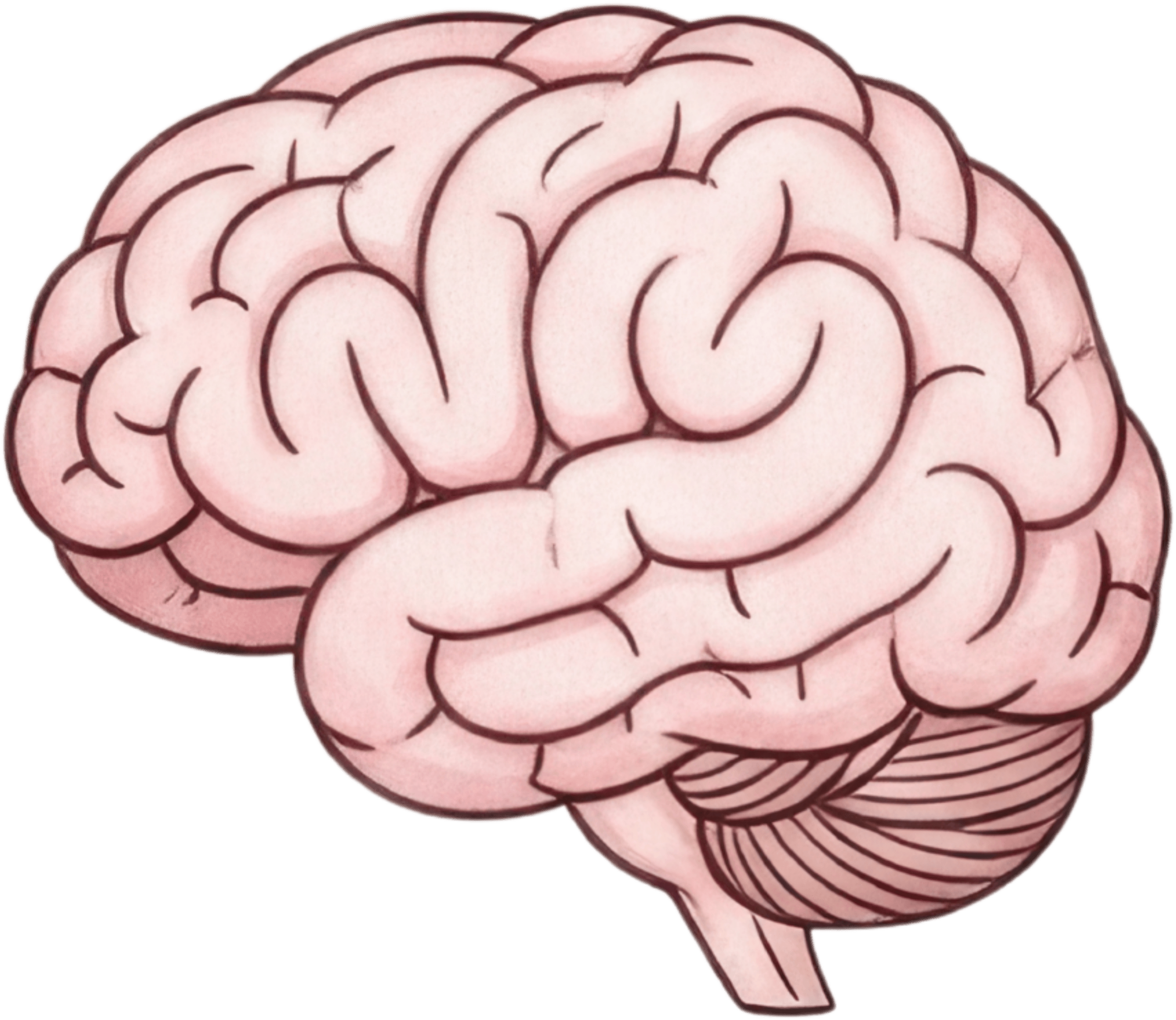 Human Brain Icon