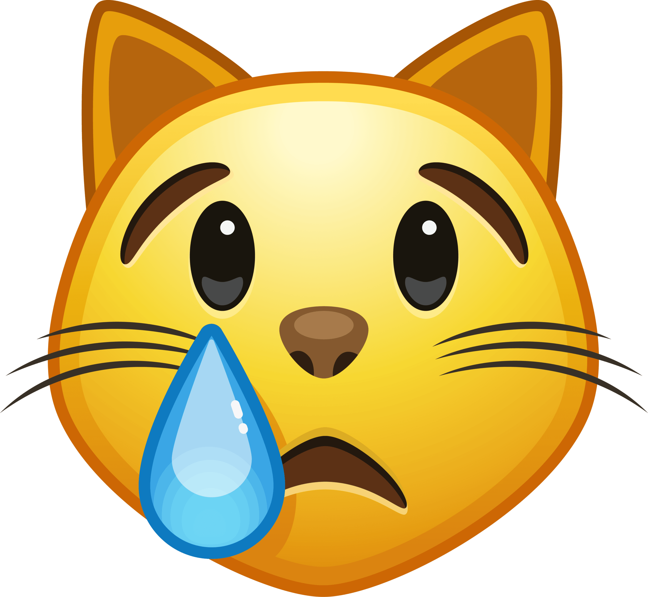 Cry Cat