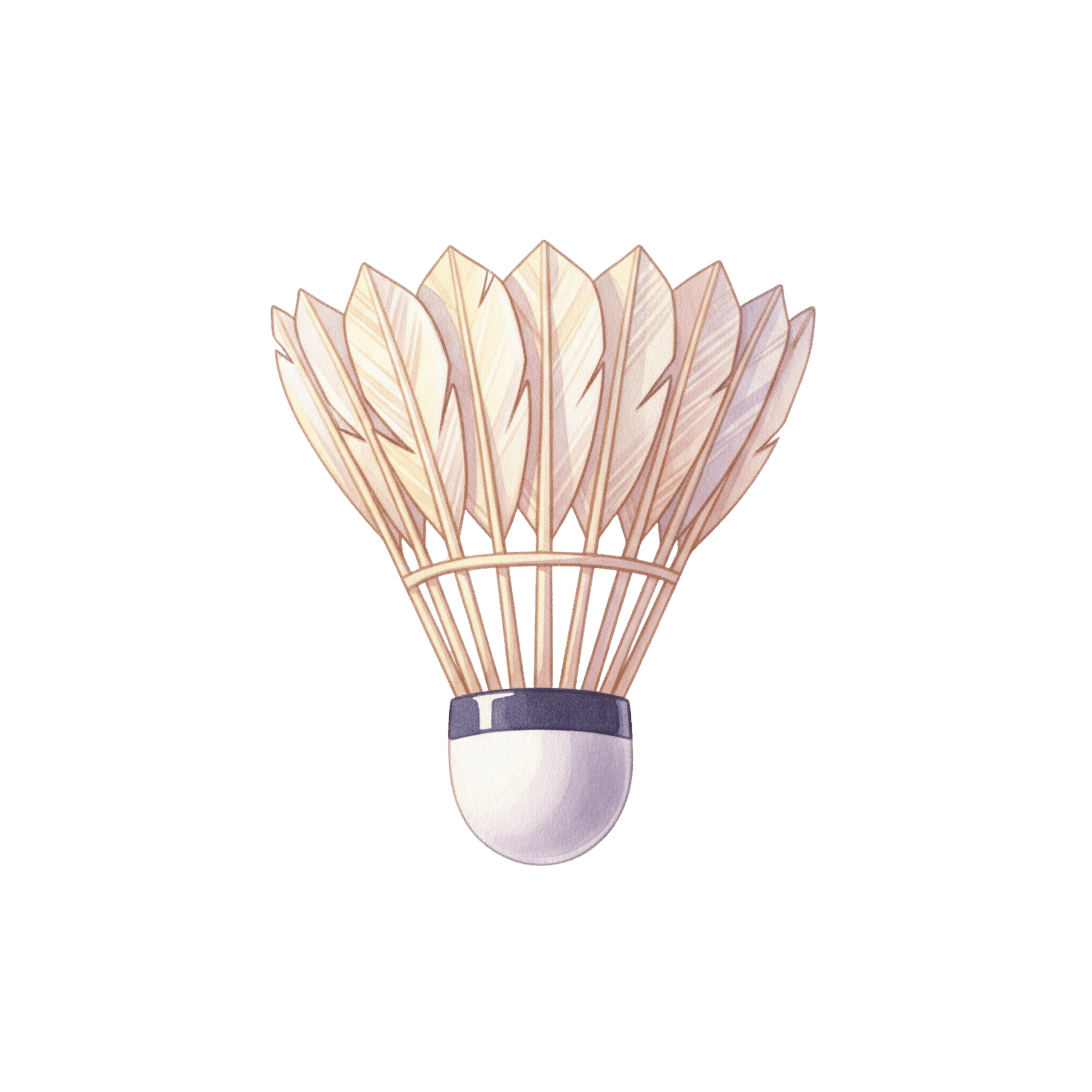 Badminton Shuttlecock Sports Icon
